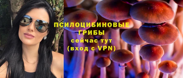 гидра Балабаново